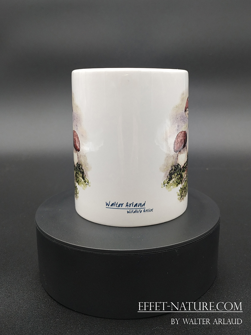 Collection Champêtre "Cèpes"
