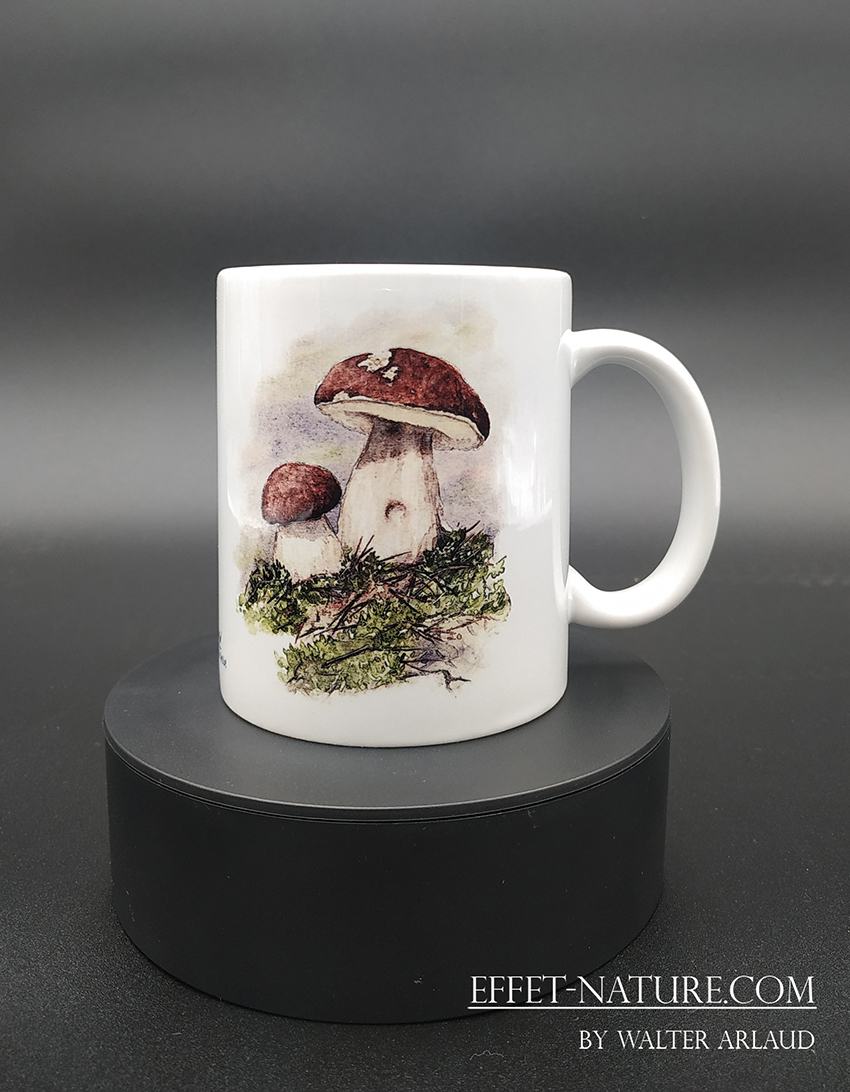 Collection Champêtre "Cèpes"