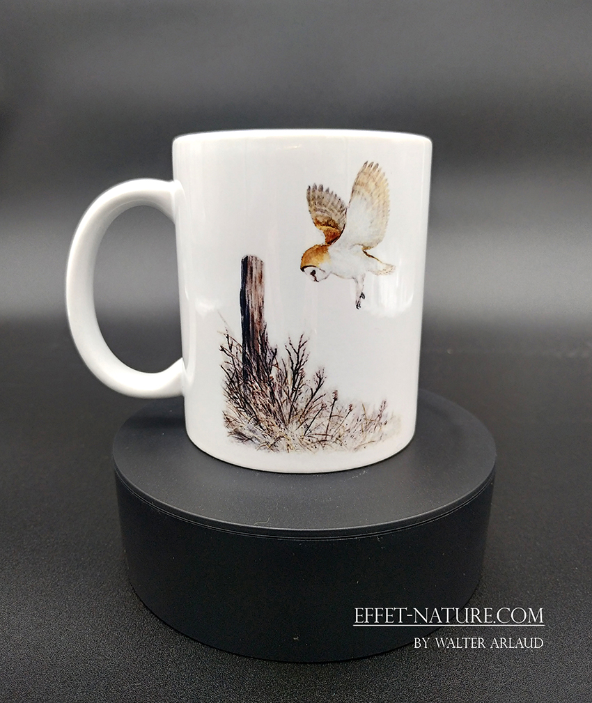 Collection Plumes "Chouette Effraie"