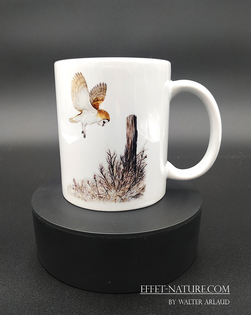 Collection Plumes "Chouette Effraie"