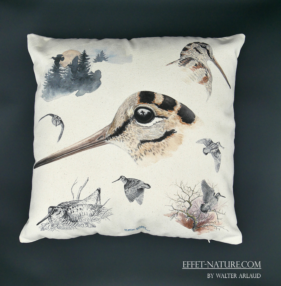 Coussin décoratif " Etude de Bécasse "