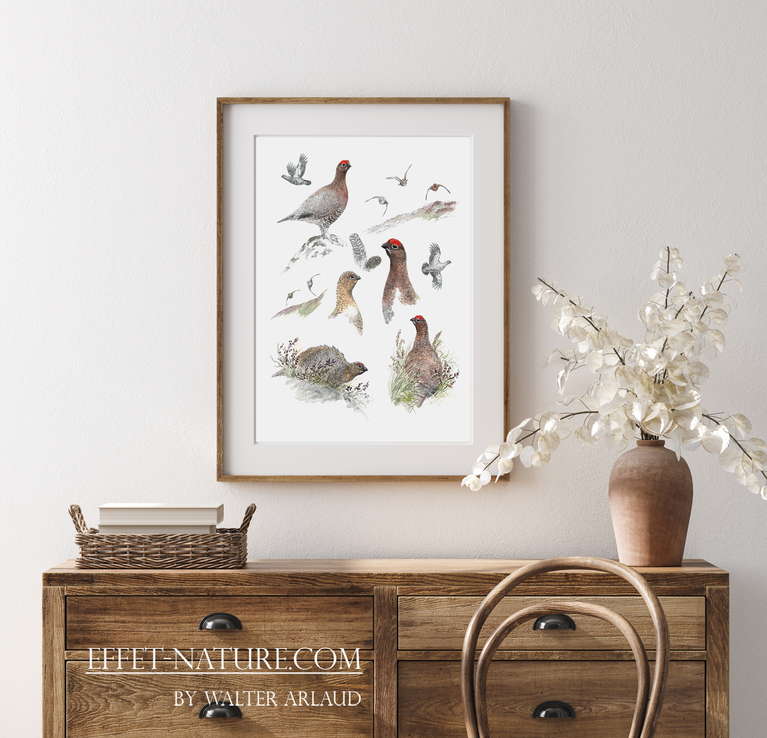 Etude Red Grouse / Edition limitée Fine Art