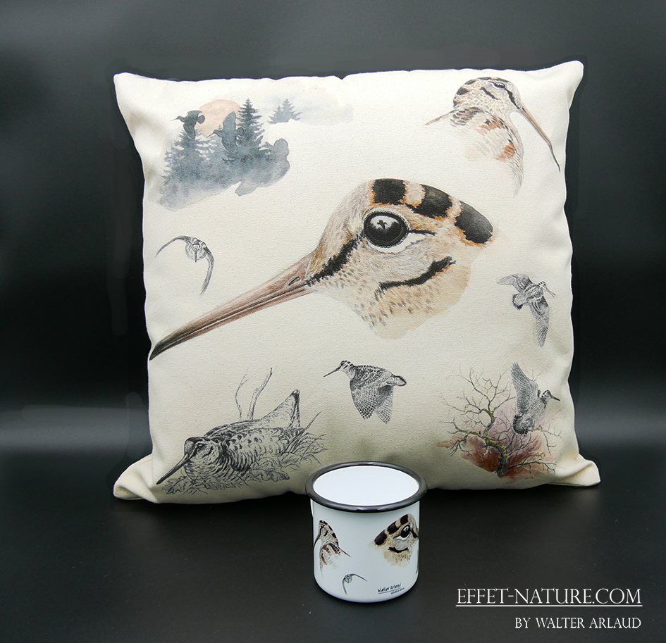 Coussin décoratif " Etude de Bécasse "