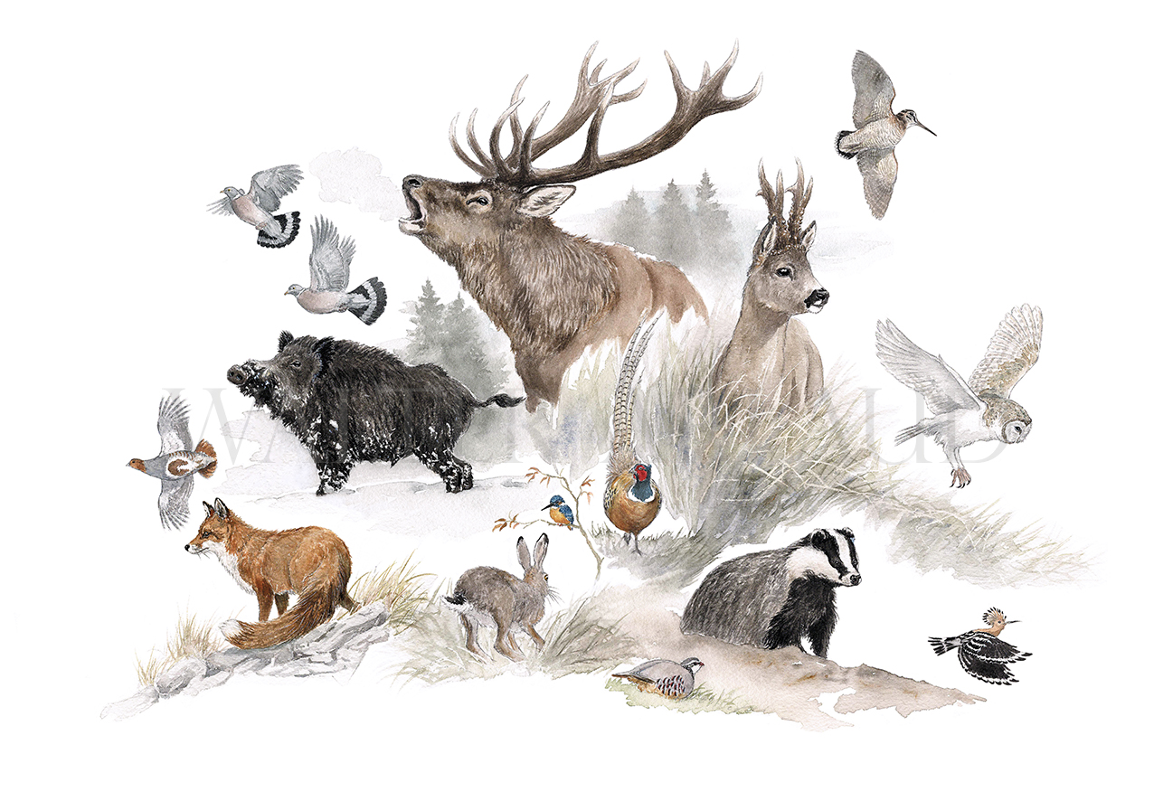  Edition limitée Fine Art BESTIAIRE