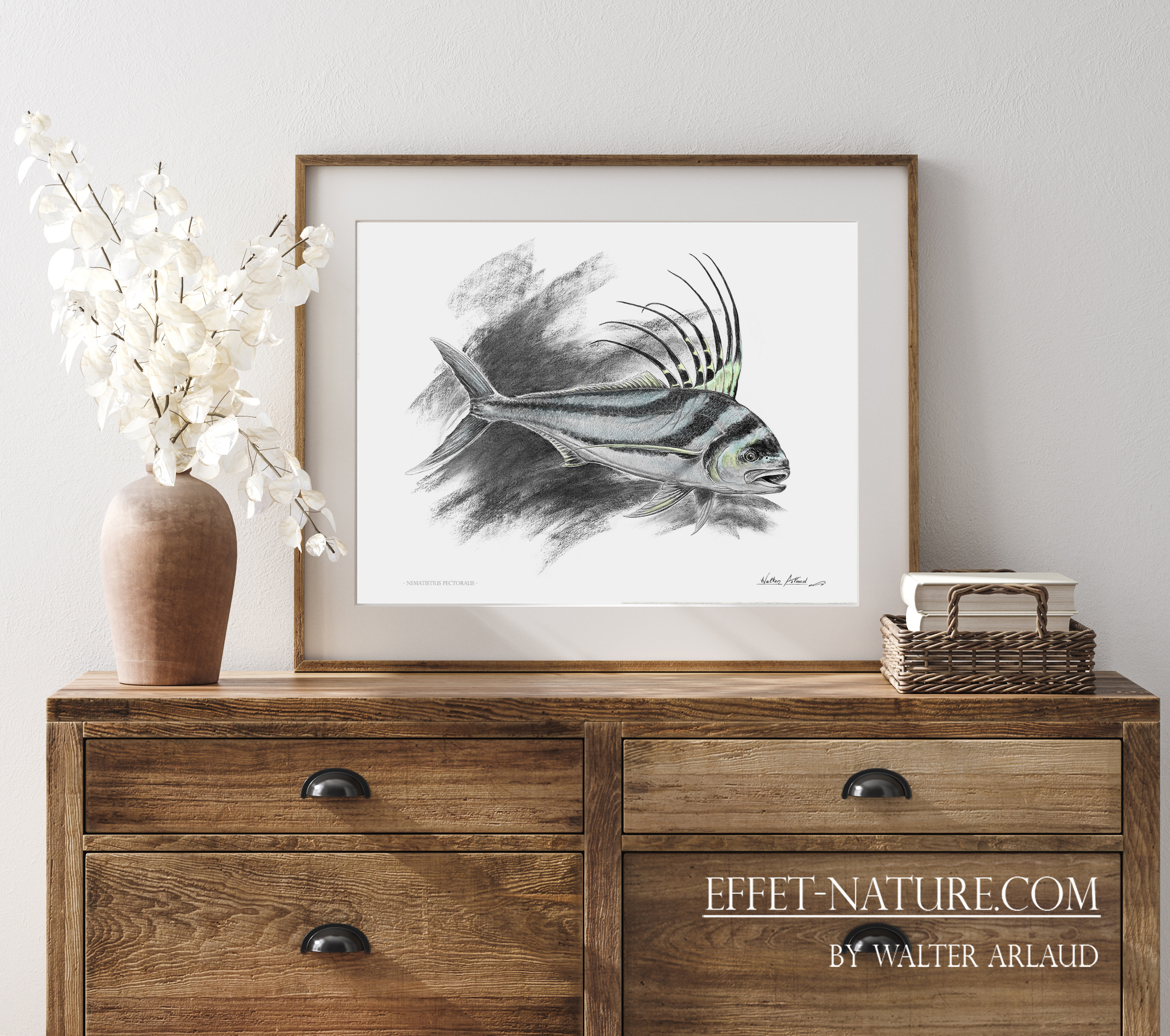 Edition limitée Fine Art "Poisson Coq" / Roosterfish / Pez Gallo / Nematistius pectoralis
