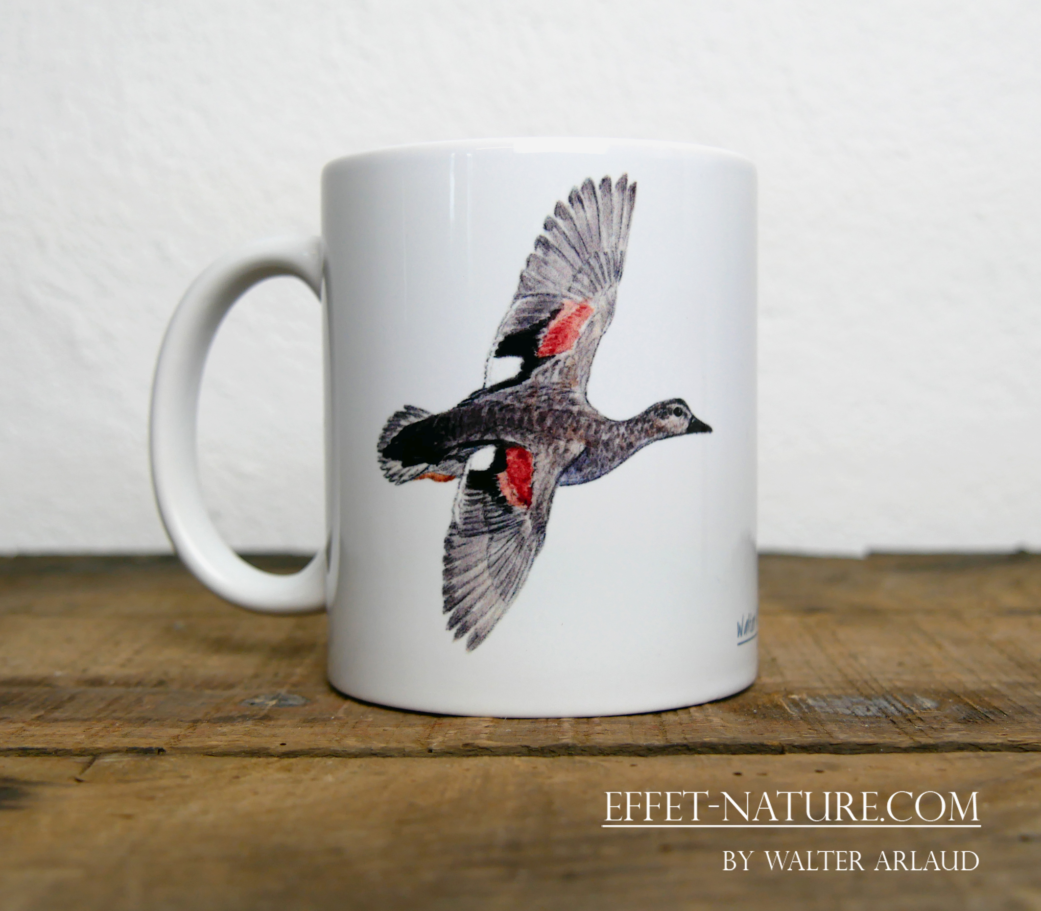 Canards "Chipeau" mâle et femelle