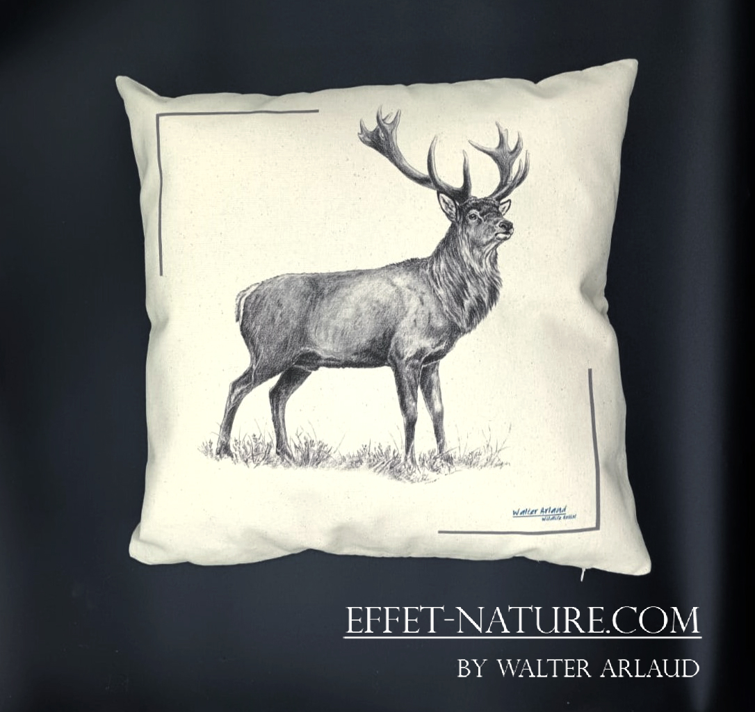 Coussin décoratif "Cerf"