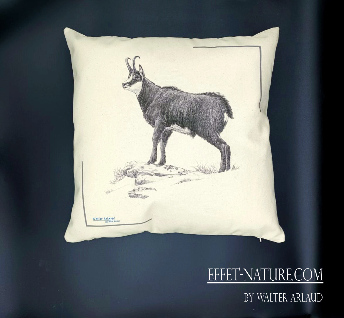 Coussin décoratif "Chamois"