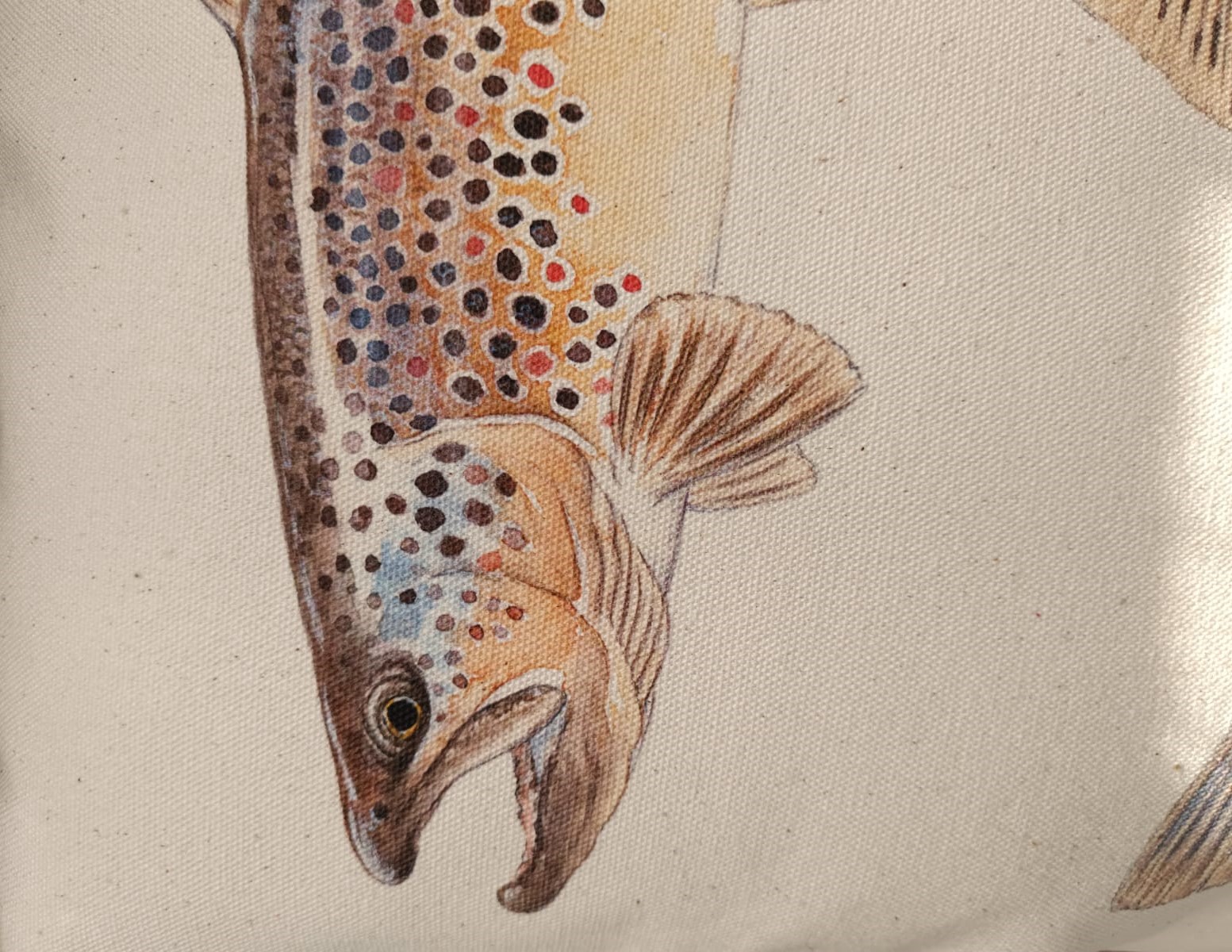 Coussin décoratif "Truites Fario"