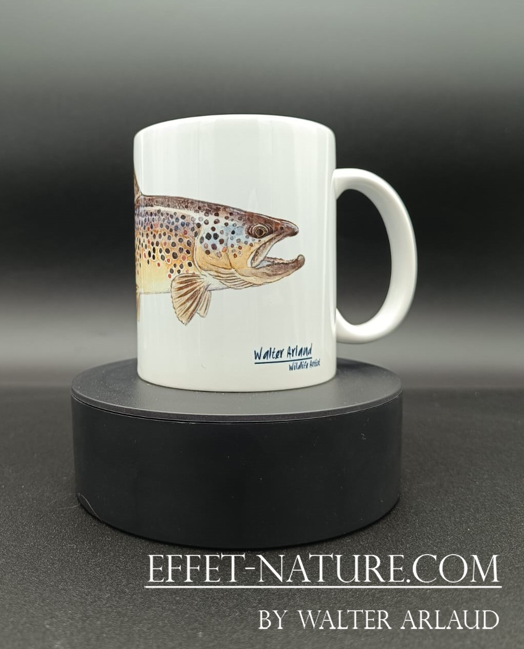 Collection Rivières "Truite Fario 1" / Brown trout / Salmo trutta