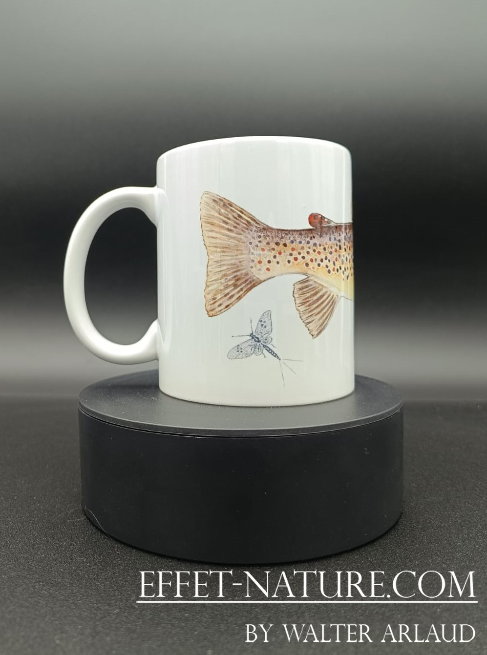 Collection Rivières "Truite Fario 1" / Brown trout / Salmo trutta