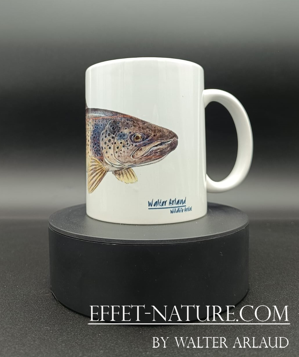Collection Rivières "Truite Fario 2" / Brown trout / Salmo trutta