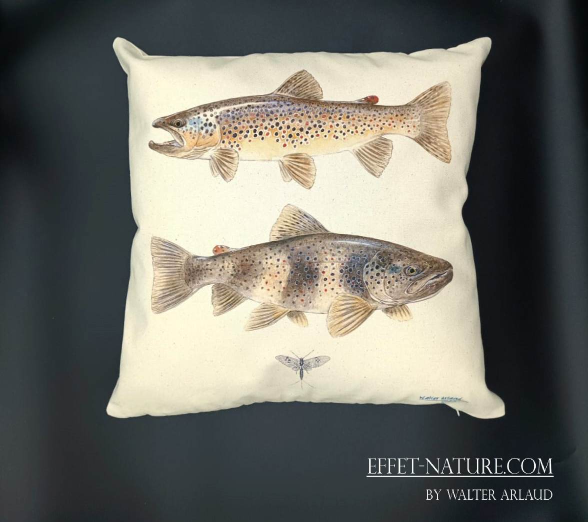 Coussin décoratif "Truites Fario"