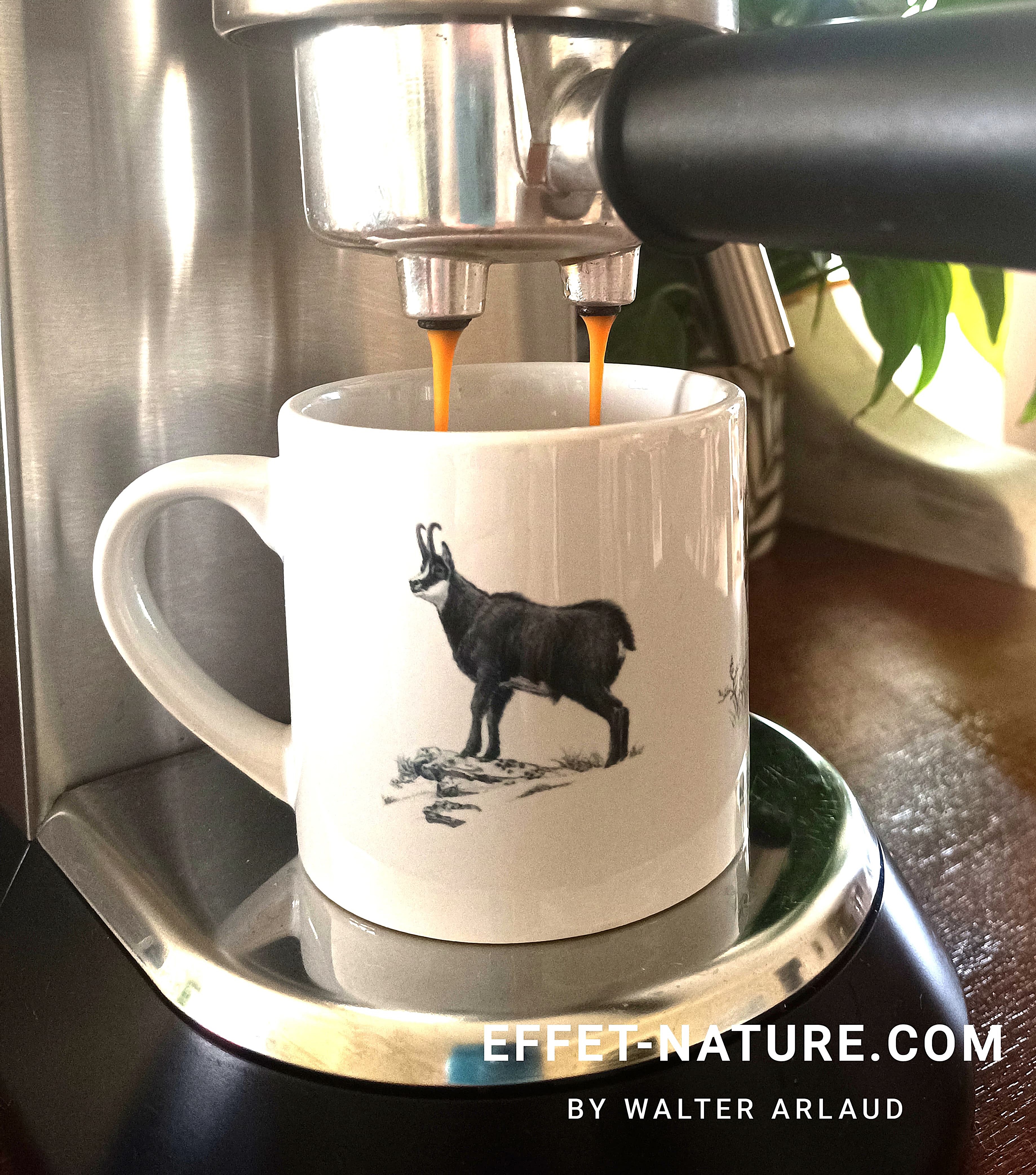 Duo de Tasses à café en céramique avec illustrations animalières "Grande faune"