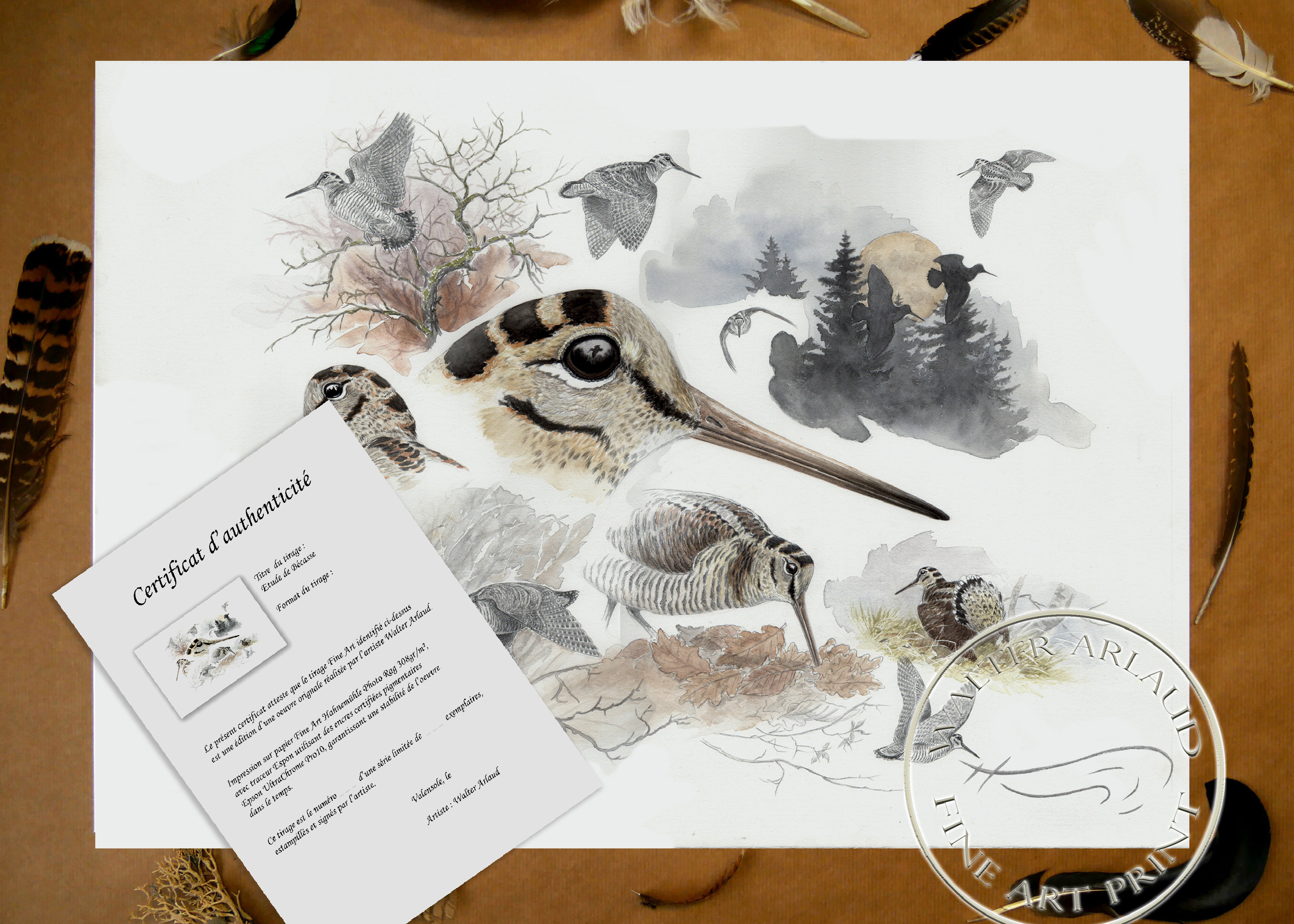  Edition limitée Fine Art Etude de bécasse 1