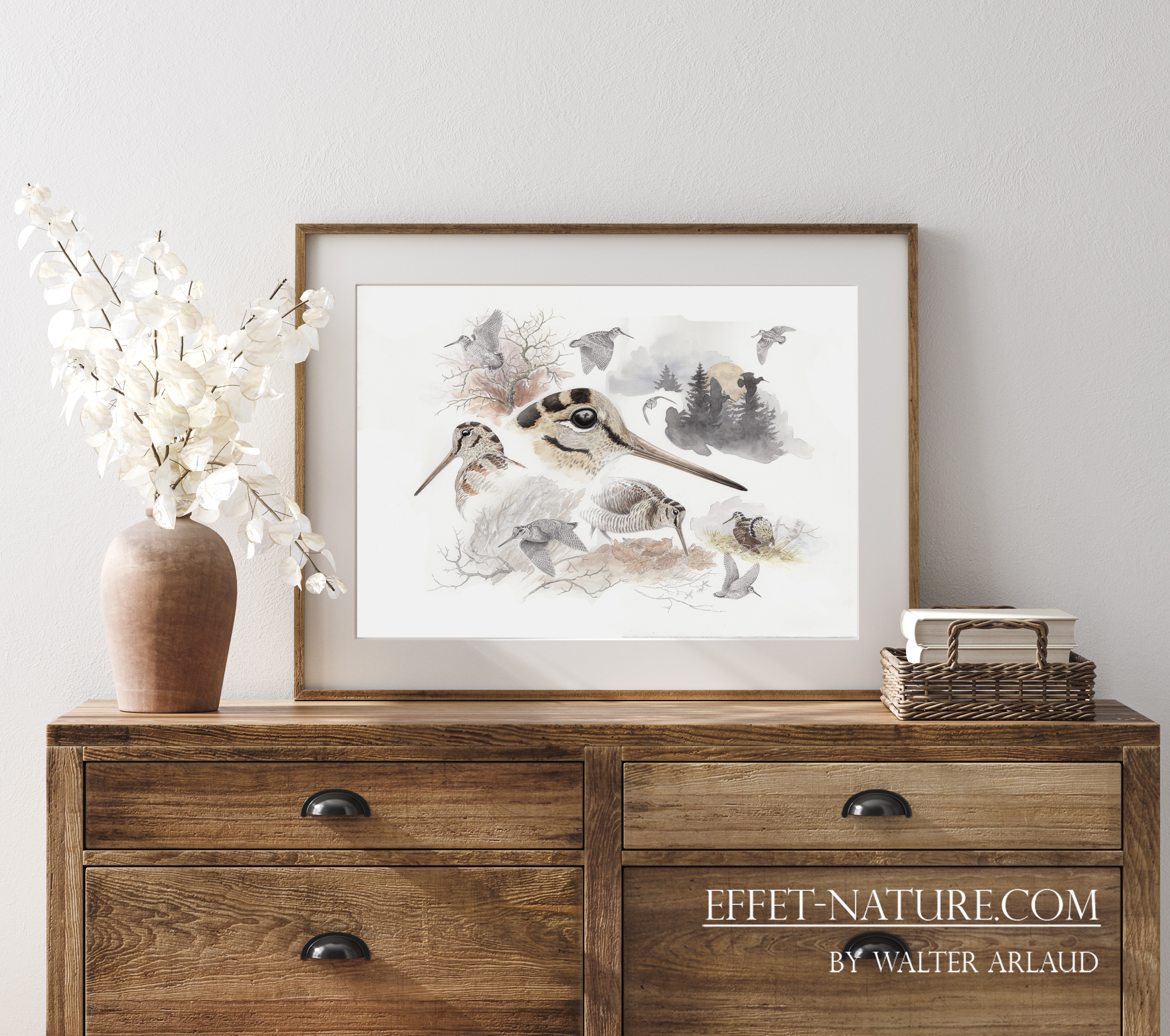 Edition limitée Fine Art Etude de bécasse 1