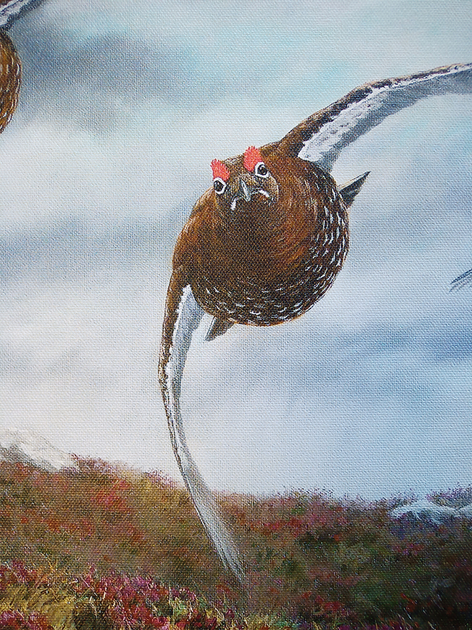 Driven Grouse, Edition limitée sur châssis entoilé, avec cadre caisse américaine noire