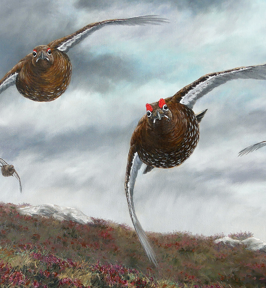 Driven Grouse, Edition limitée sur châssis entoilé, avec cadre caisse américaine noire
