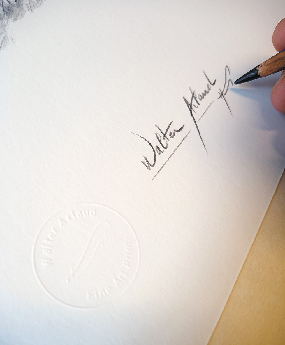  Edition limitée Fine Art Etude de Truite 2