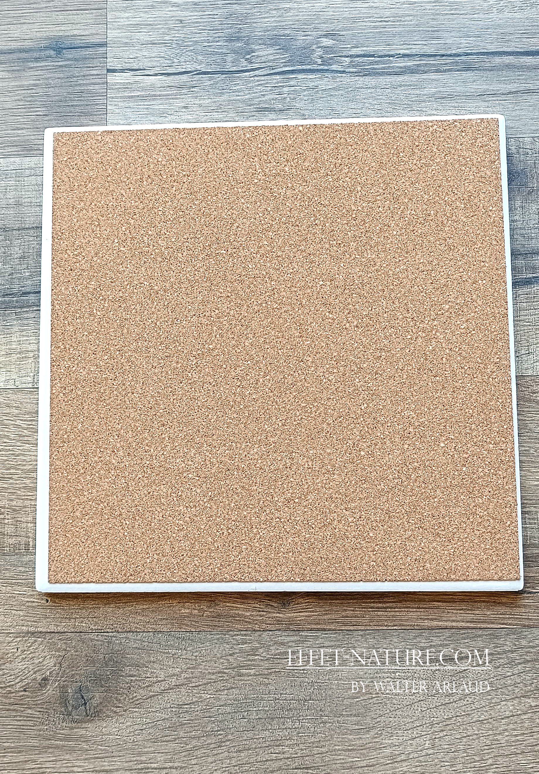 Dessous de plats "Truites fario" illustré par l'artiste Walter Arlaud