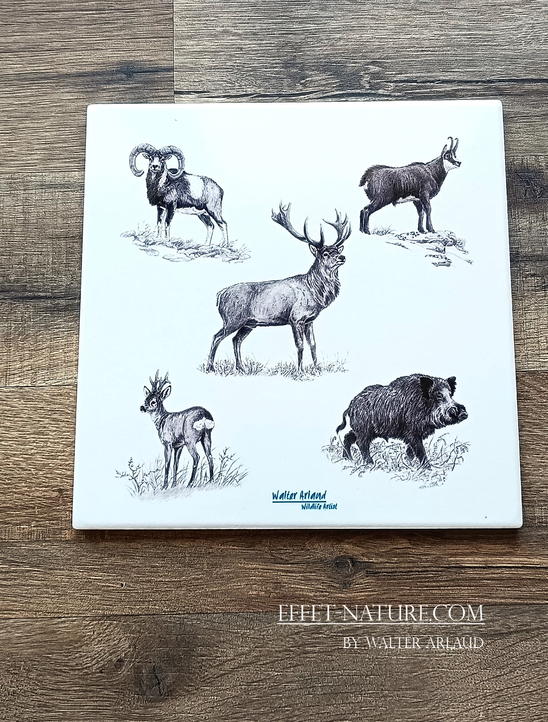 Dessous de plats "Grande faune" illustré par l'artiste Walter Arlaud