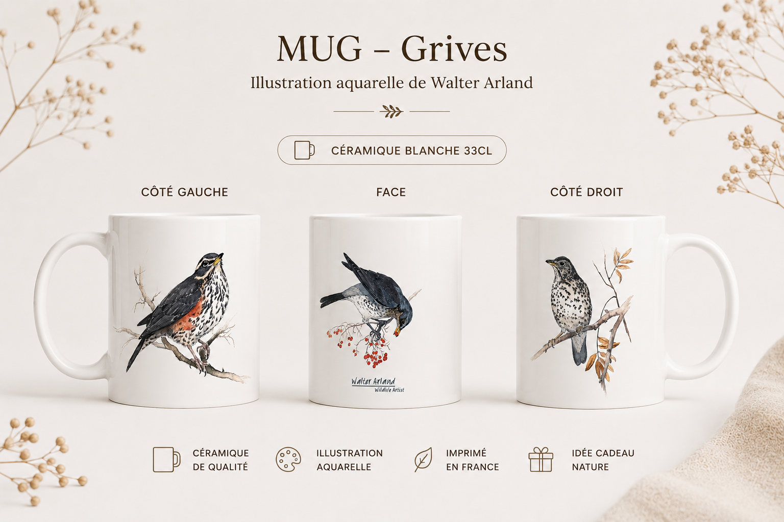 Grives / Turdidés