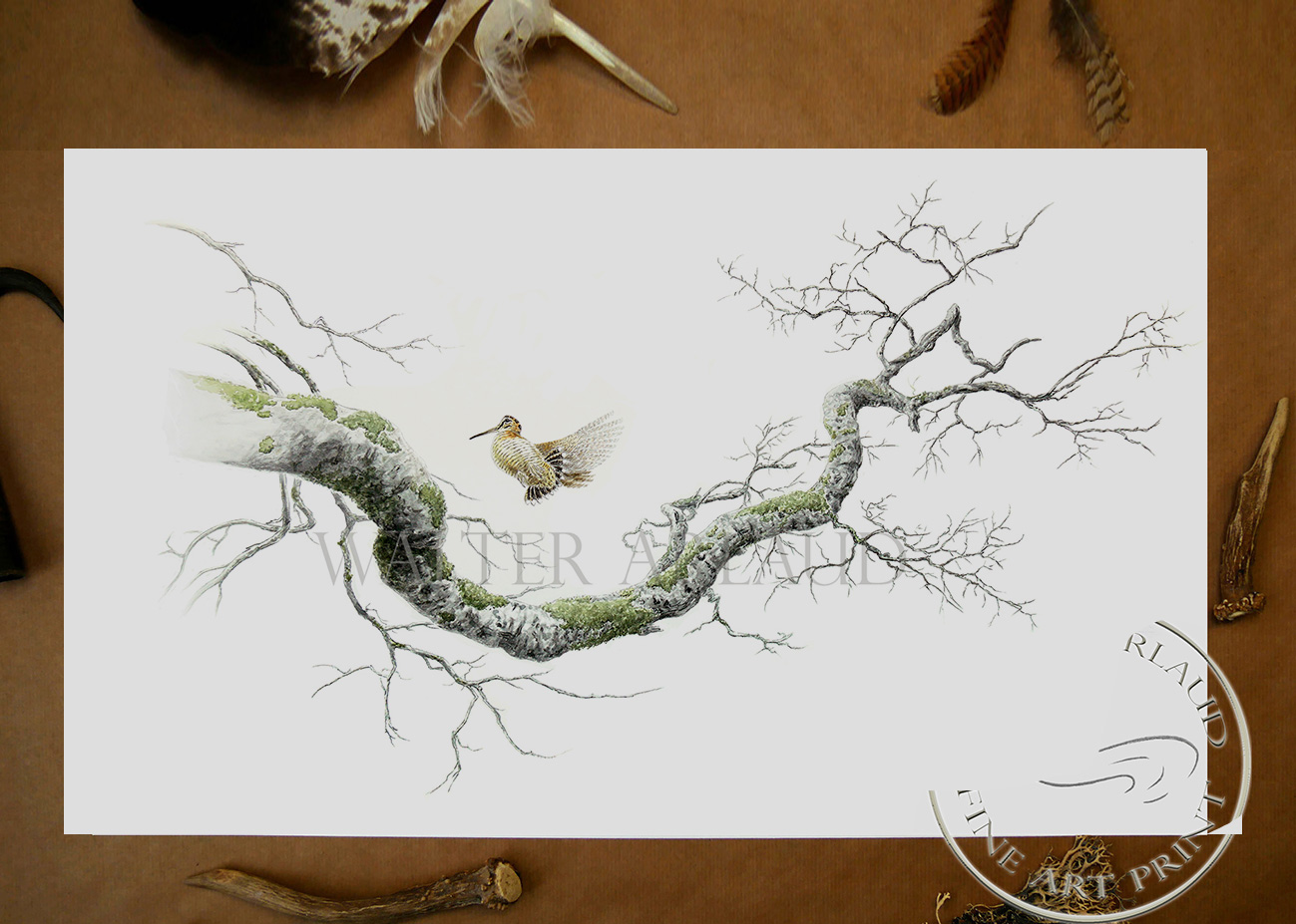  Edition limitée Fine Art Voltige