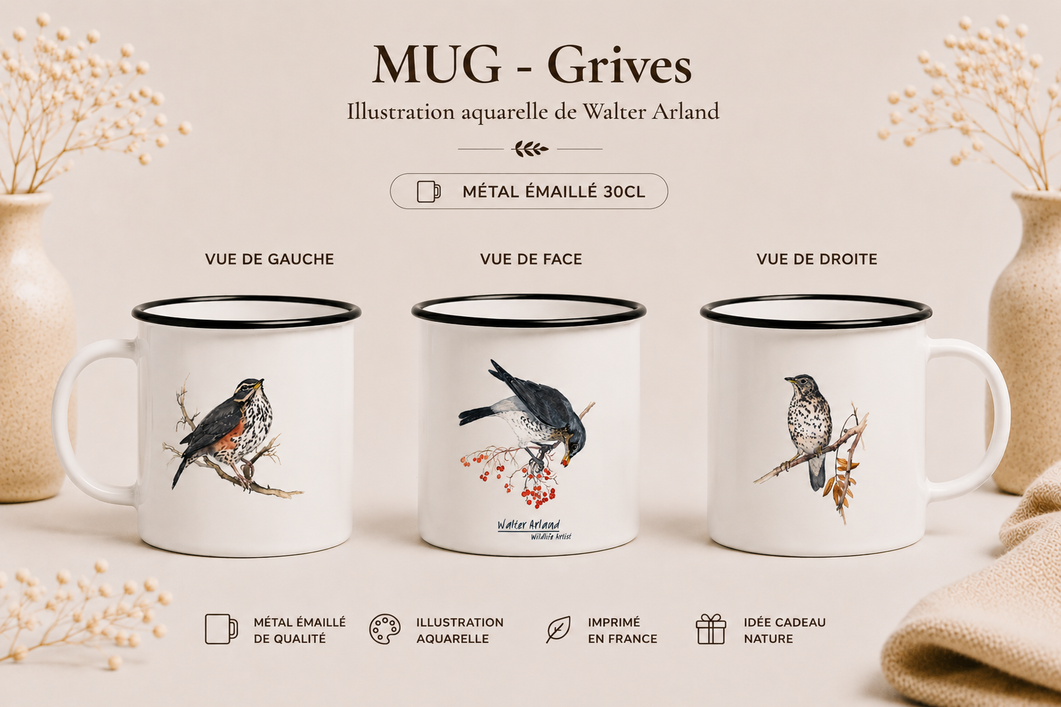 Grives / Turdidés
