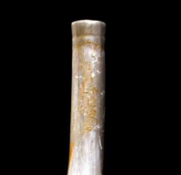 Bouteille-Vases décoratifs Taureau