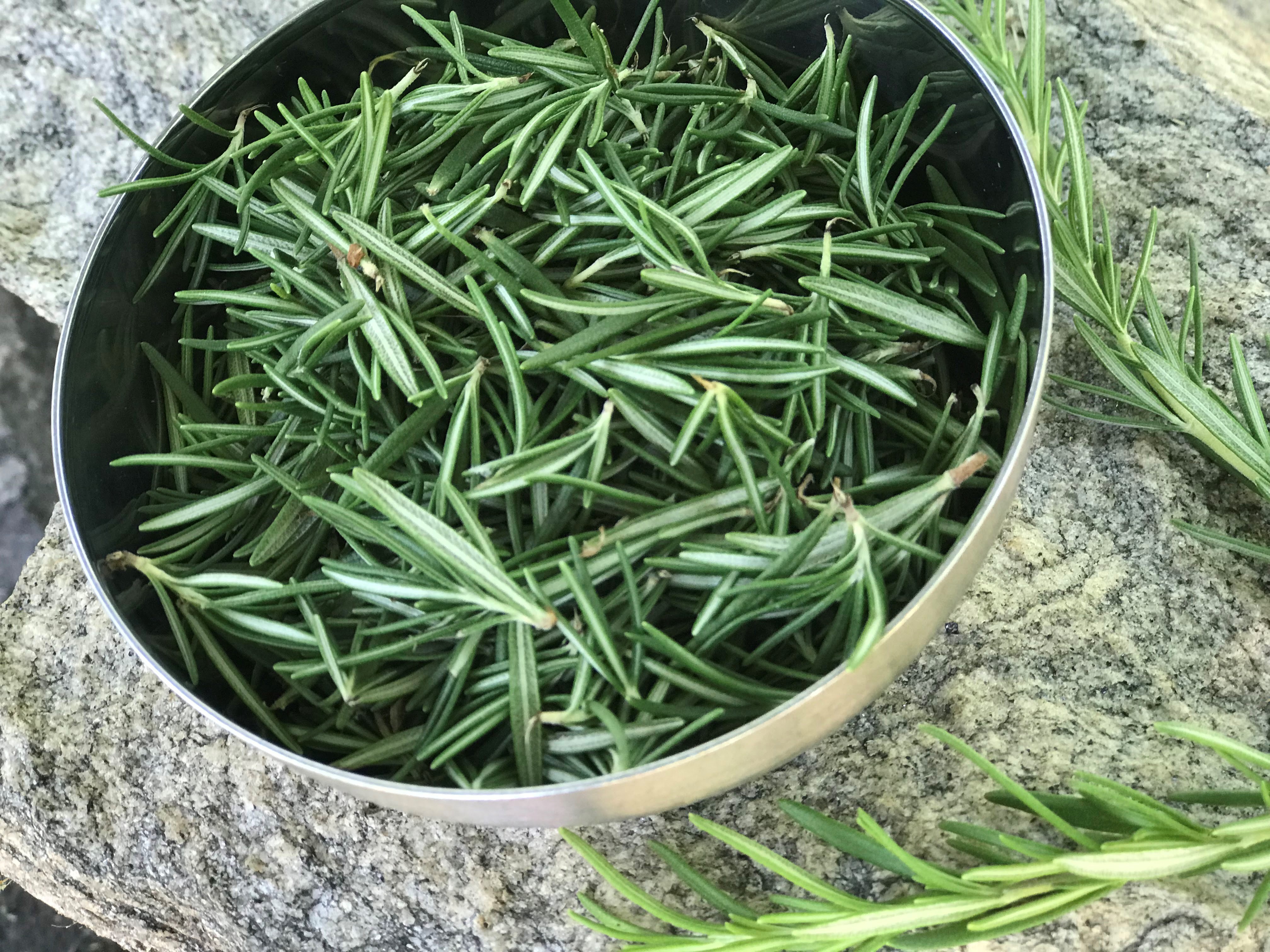 Rosemary 