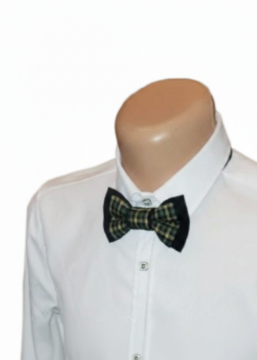 Languota peteliškė „Plaid Accent“