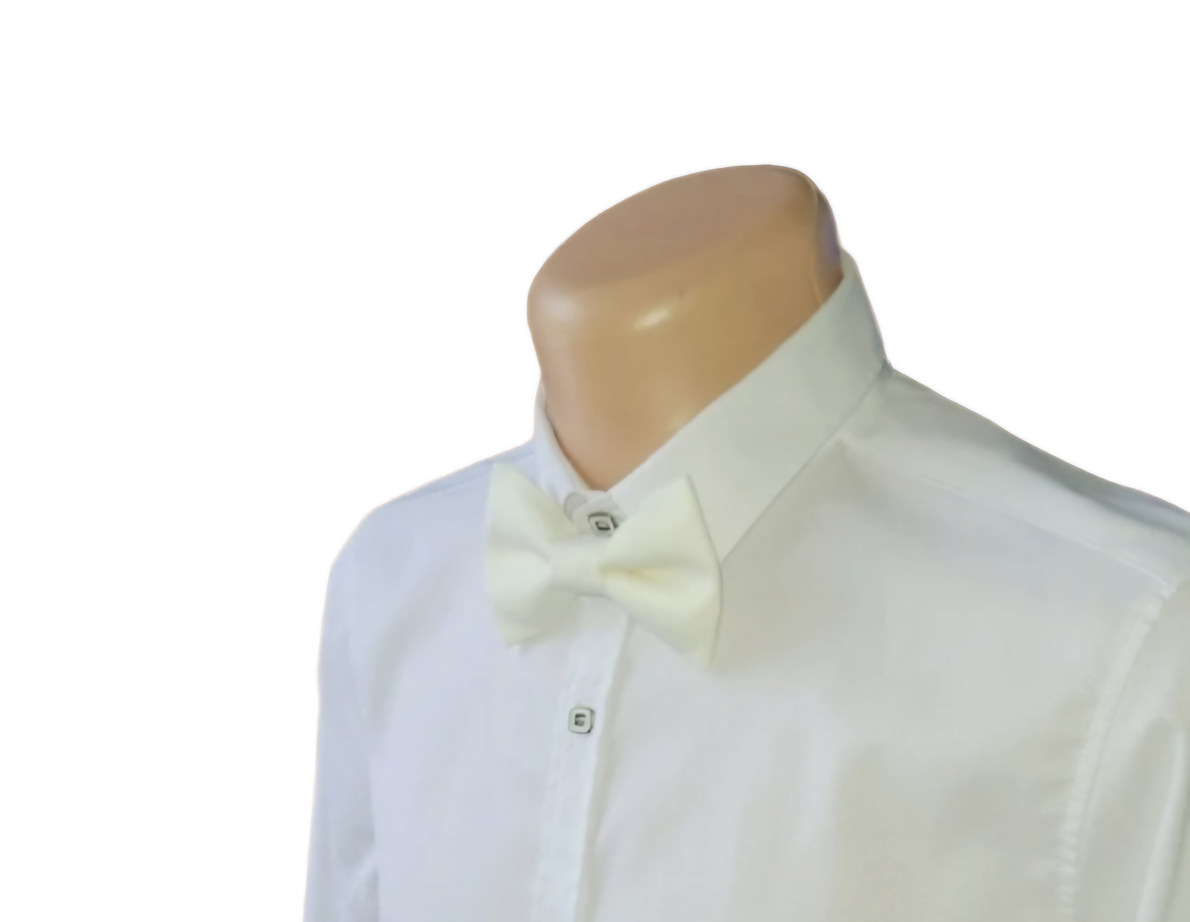 Šampaninė peteliškė „Champagne Glow“