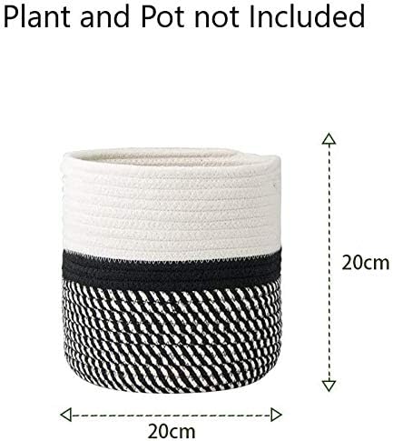 Decorative plant basket