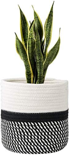 Decorative plant basket