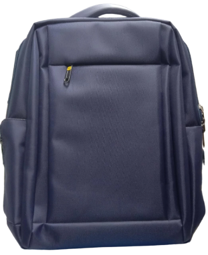 Modern Laptop Backpack