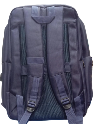 Modern Laptop Backpack