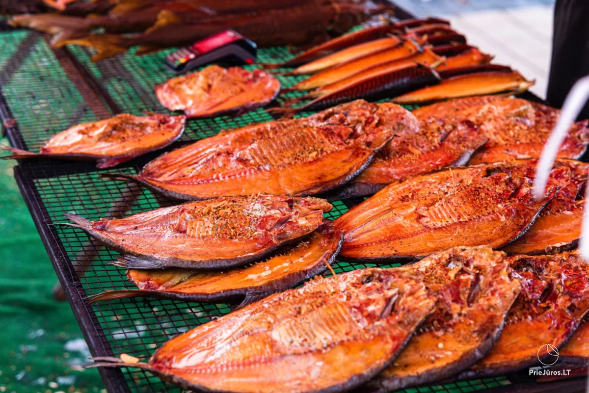 Palangos stinta 2026