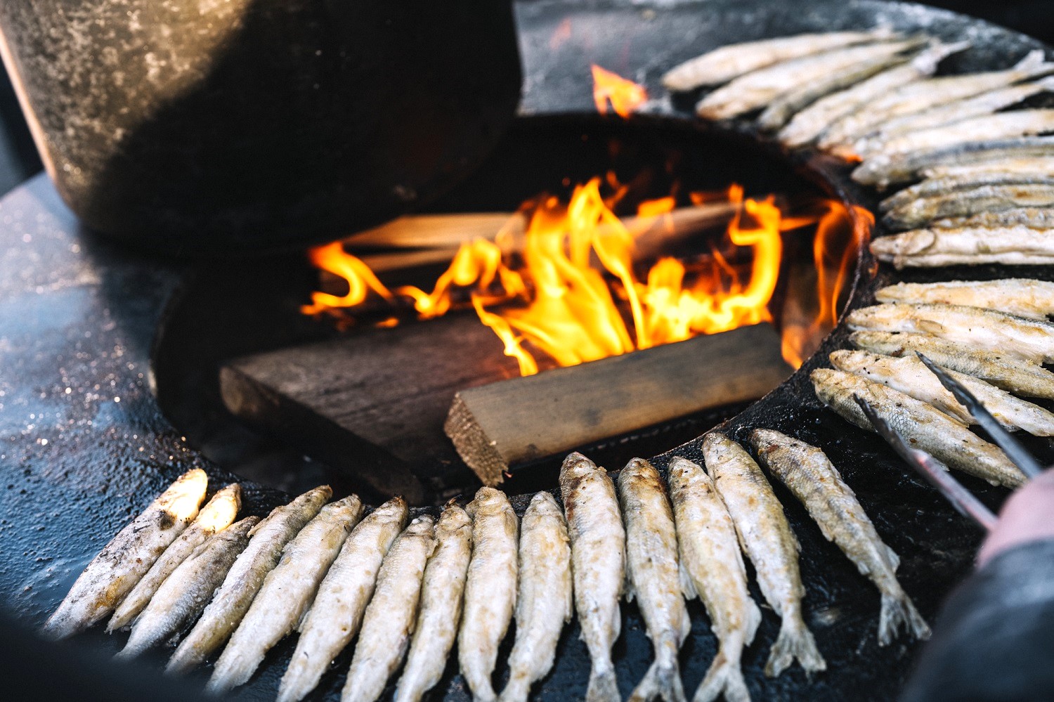 Palangos stinta 2026