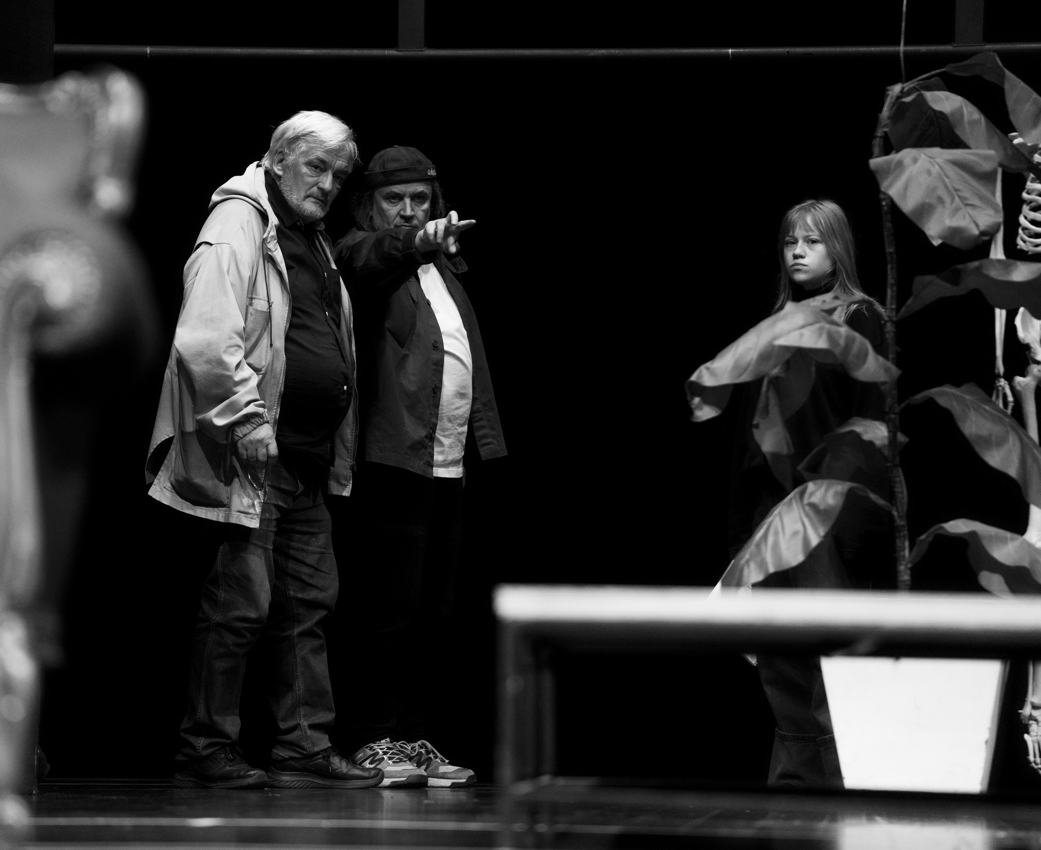 “LAUKINĖ ANTIS”. Jaunimo teatras, Vilnius