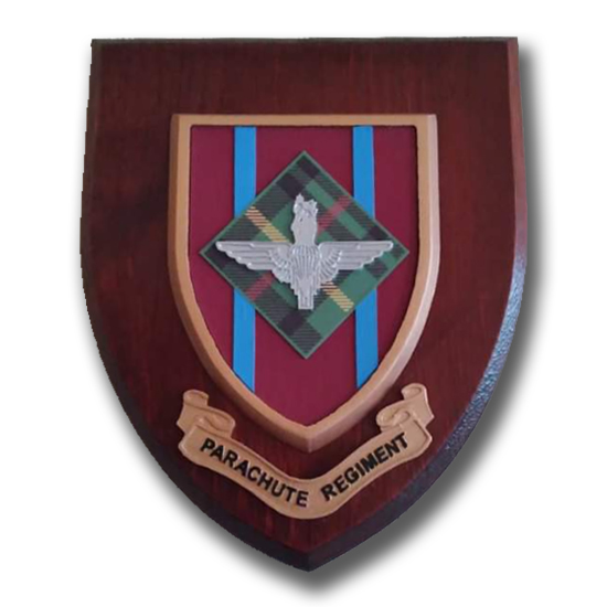 15th SCOTTISH BATTALION - PARACHUTE REGIMENT