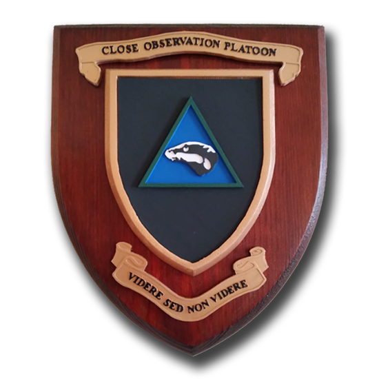 CLOSE OBSERVATION PLATOON