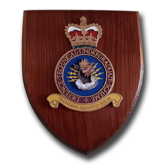 DEFENCE TECHNICAL UNDERGRADUATE SCHEME