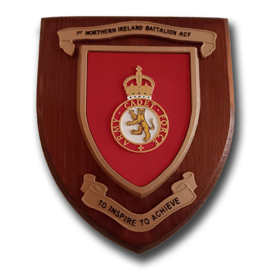 ARMY CADET FORCE