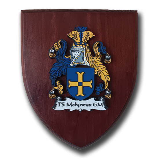 T S MOLYNEUX GM - SEA CADETS