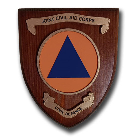 JOINT CIVIL AID CORPS (PATTERN 1)