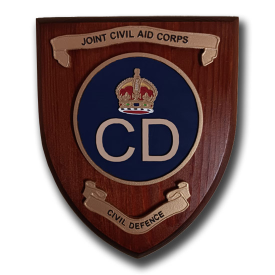 JOINT CIVIL AID CORPS (PATTERN 2)