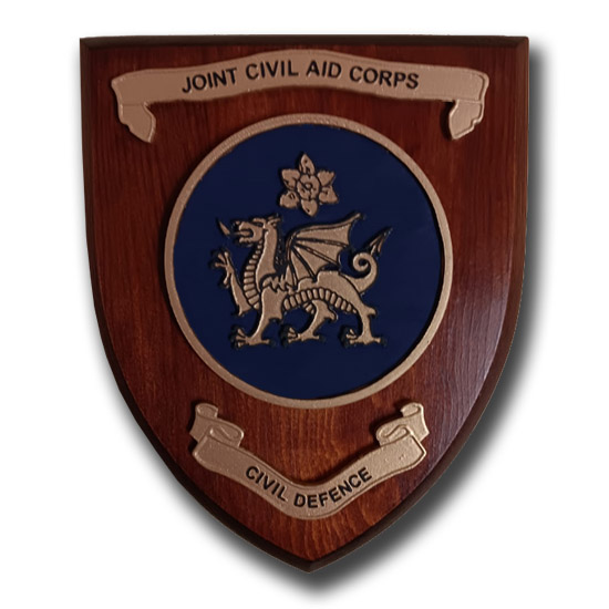 JOINT CIVIL AID CORPS (PATTERN 3)