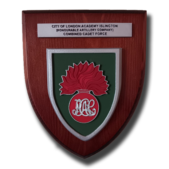 CITY OF LONDON ACADEMY - COMBINED CADET FORCE (HAC)