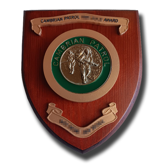 MEDAL MOUNT - THREADED BASE (REMOVABLE)