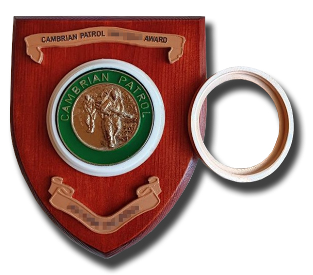 MEDAL MOUNT - THREADED BASE (REMOVABLE)